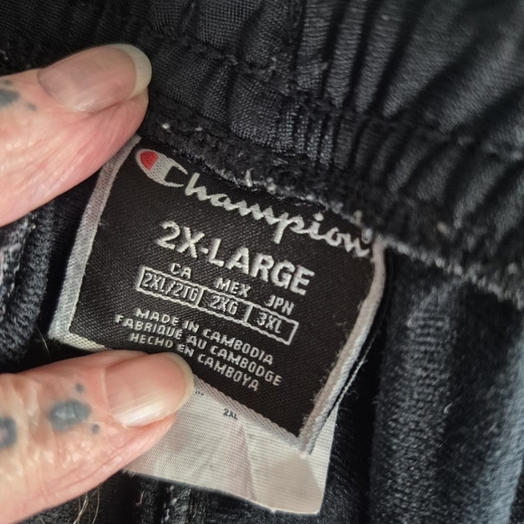 Champion Men's Stripe Jogger Pants Size 2XL - Picture 3 of 9